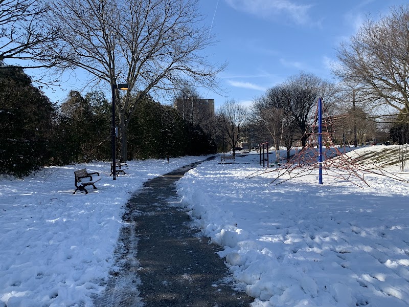 Piccadilly Park