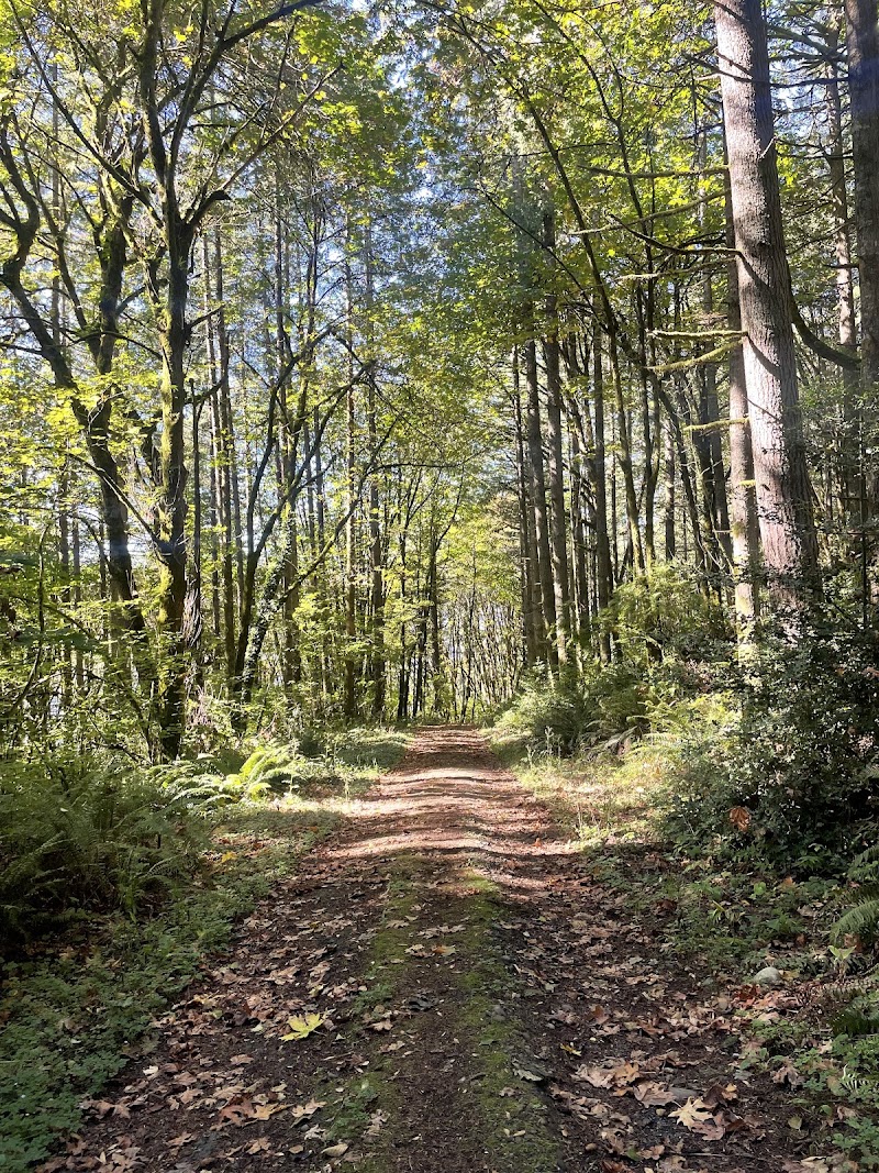 Mcfadden Park