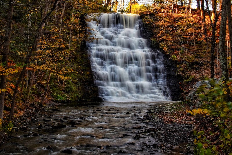 Waverly Glen Park