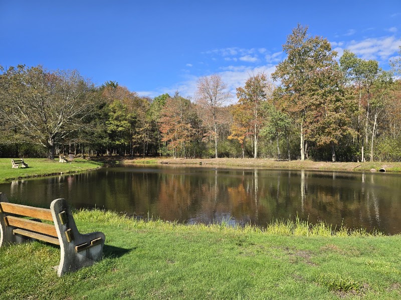 Linesville Park