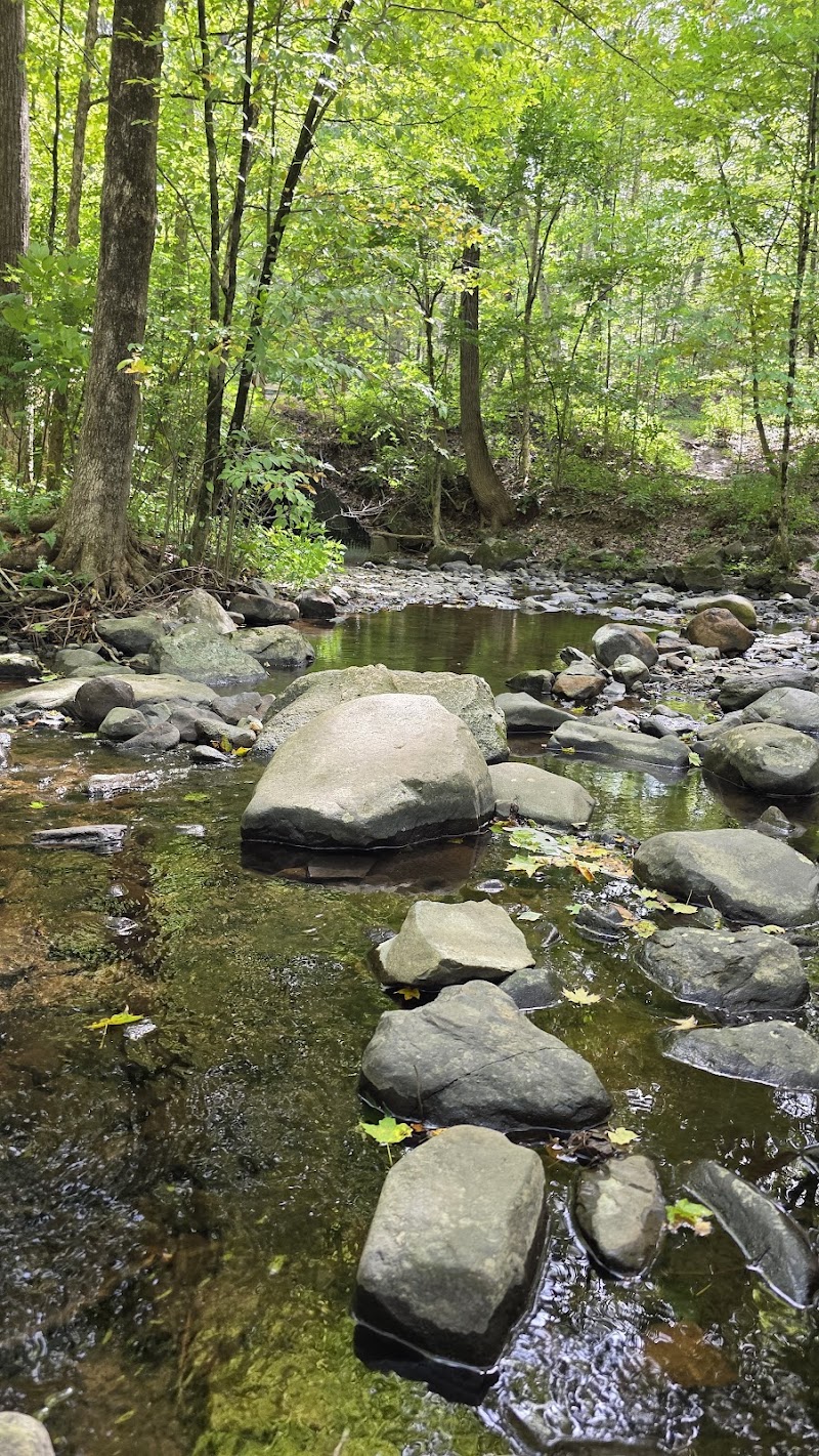 Mittineague Park