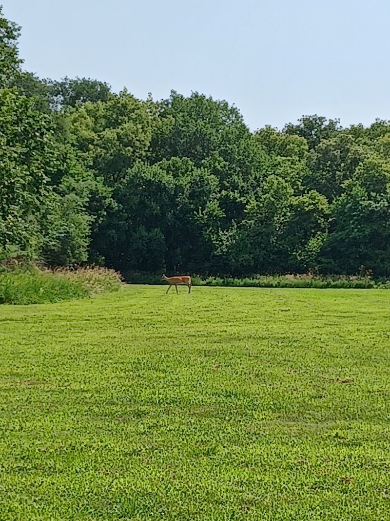 Plum Creek Park