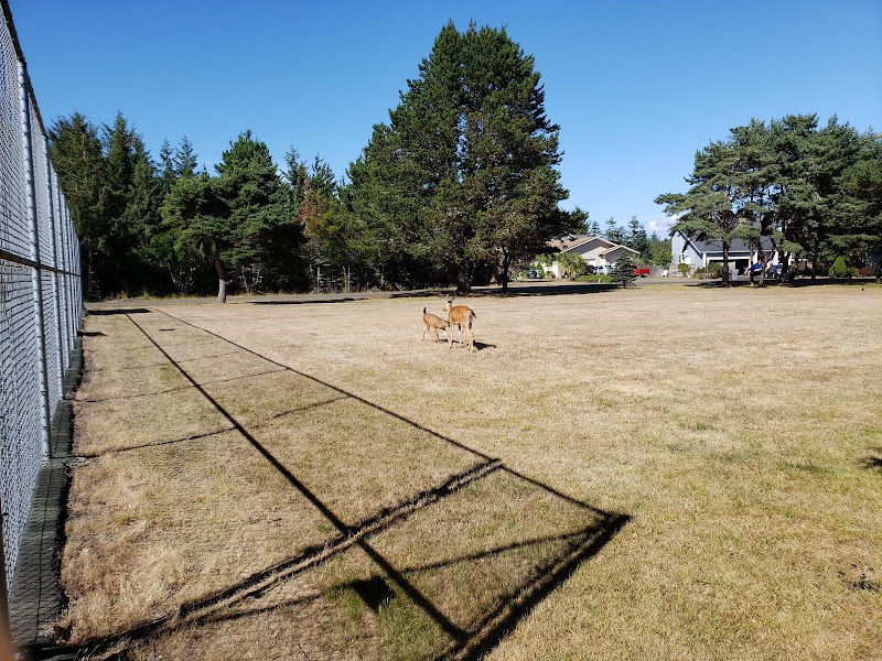Emerson Park - Pickleball in Ocean Shores, Washington