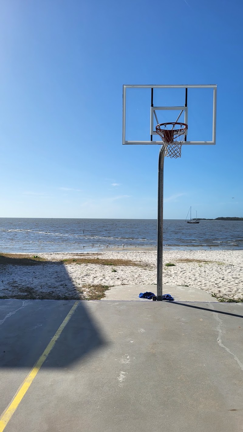 Lil Shark Basketball Court