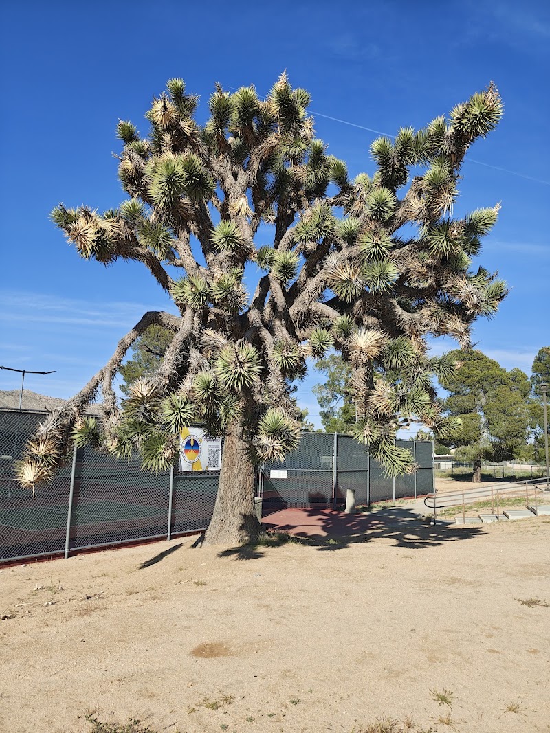 Jacobs Park