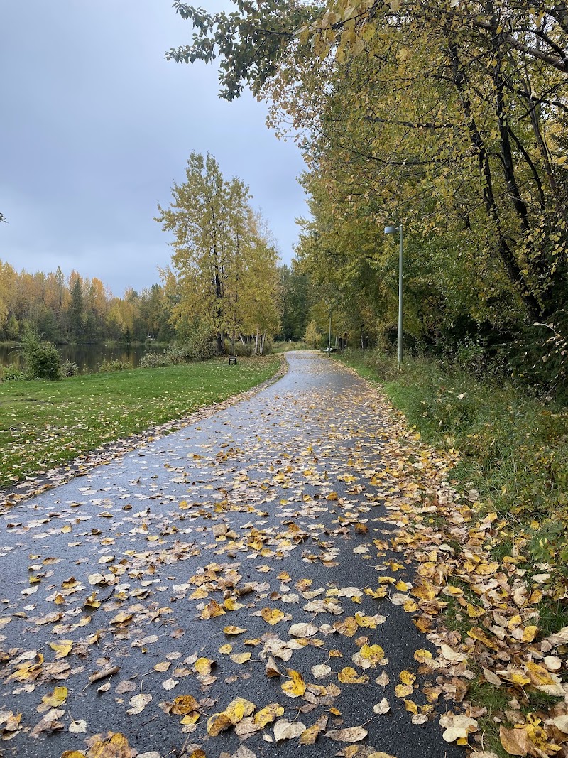 Taku Lake Outdoor Fitness Park