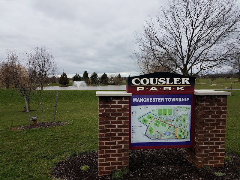 Cousler Park - Pickleball in Manchester, Michigan