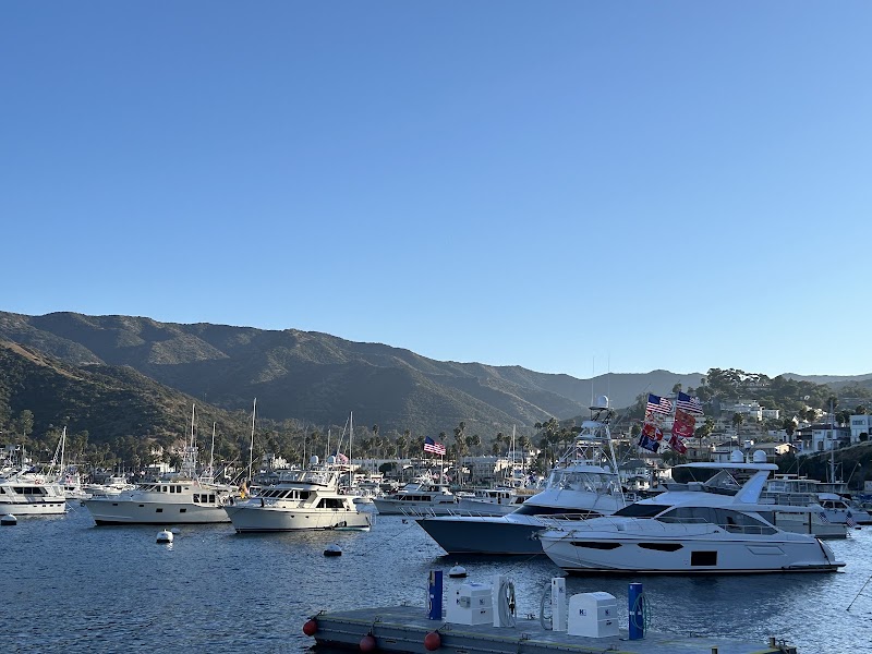City of Avalon Dive Park - Pickleball in Avalon, California