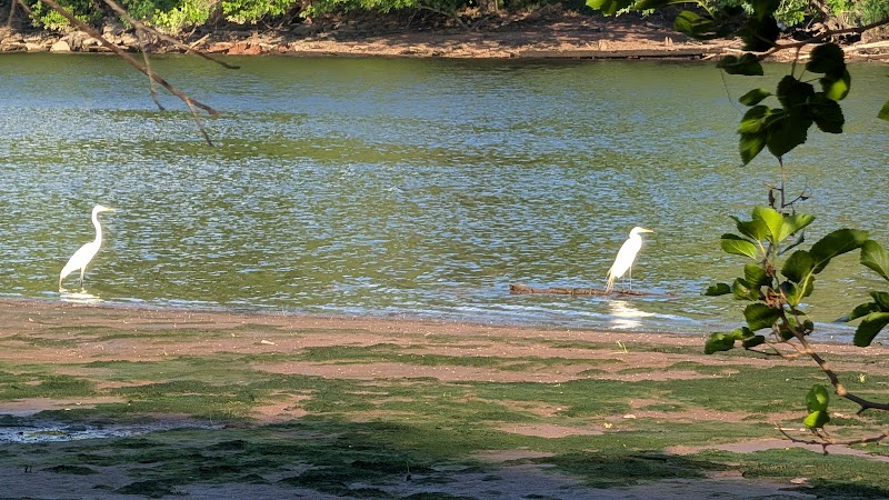 Donaldson Park - Grove 2