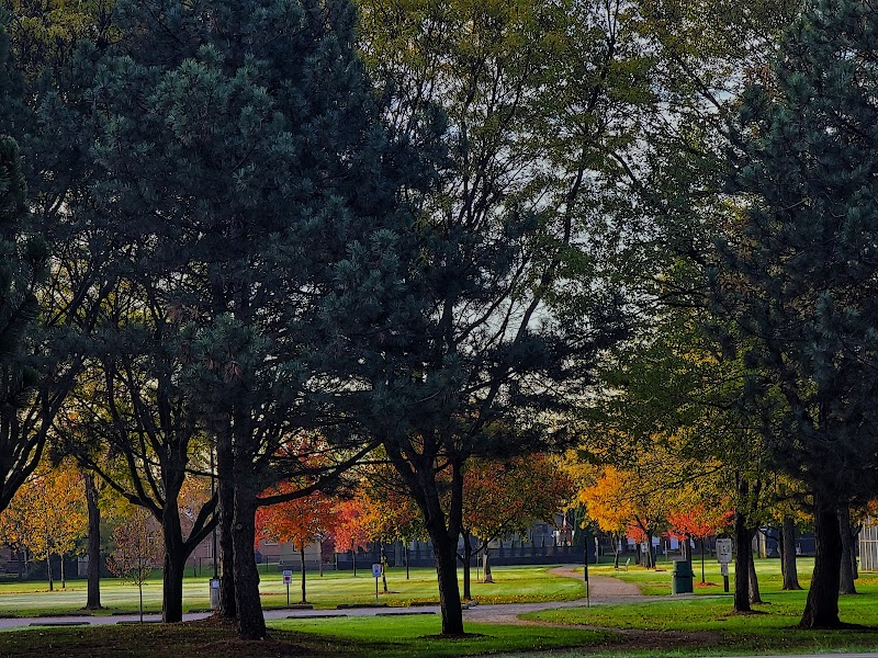 Leffler Park