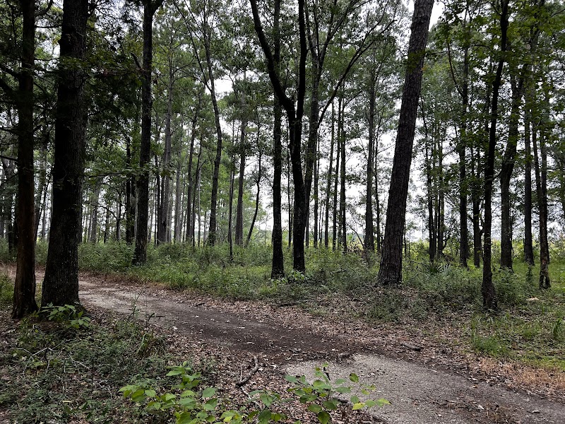 Marrington Plantation Trailhead - Pickleball in Goose Creek, South Carolina