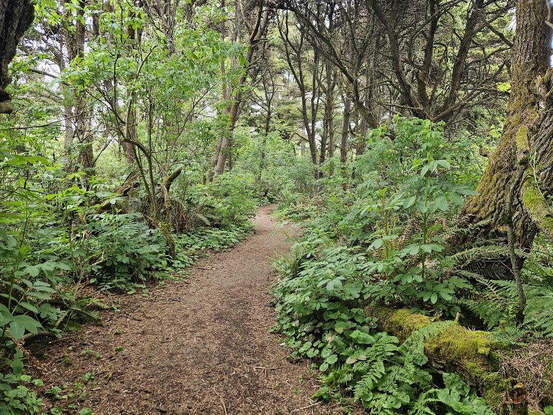 Hiller Park