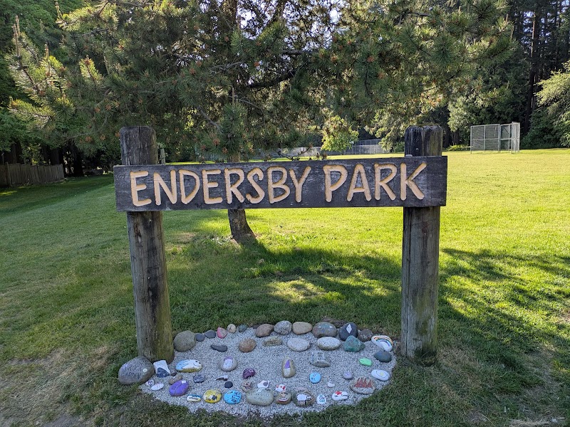 Endersby Park - Pickleball in Delta, British Columbia