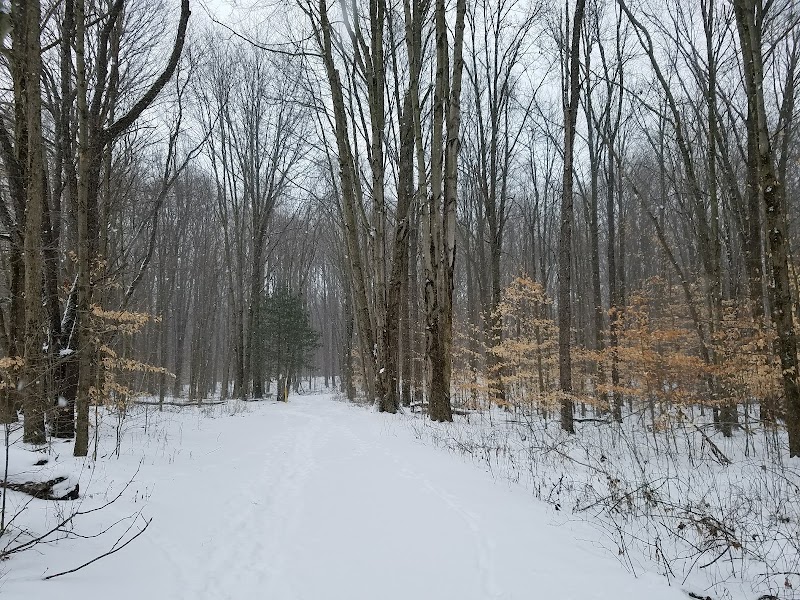 Dix Park