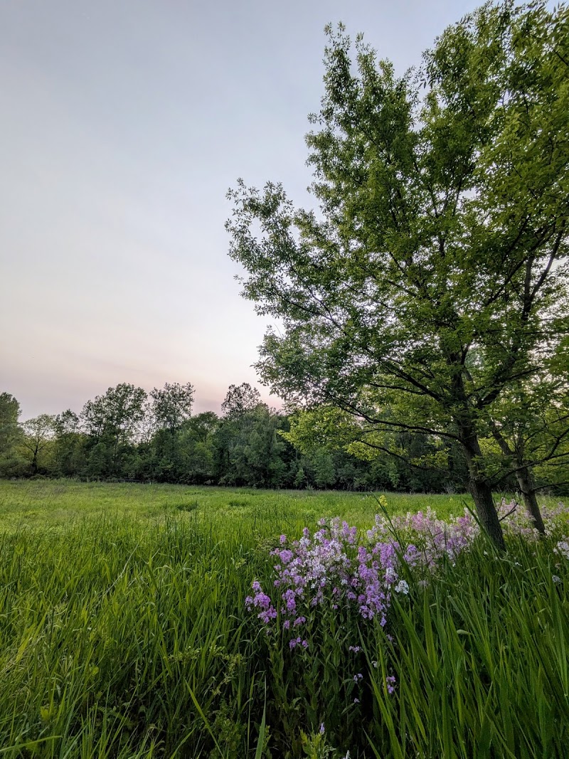 The Leslee Niethammer Saline River Preserve