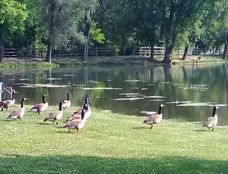 Clearbrook Park Pool