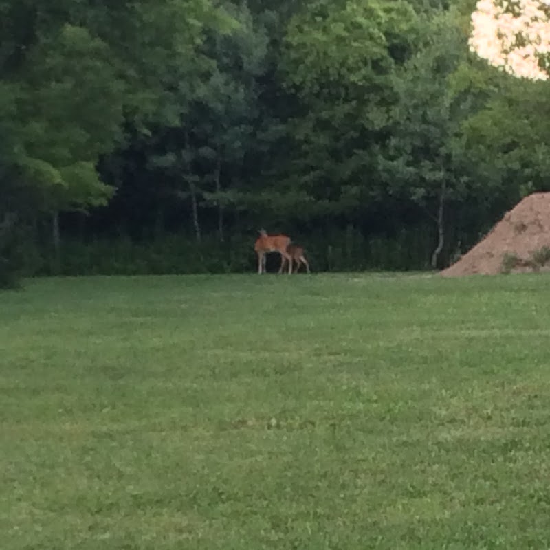 Haselton Park