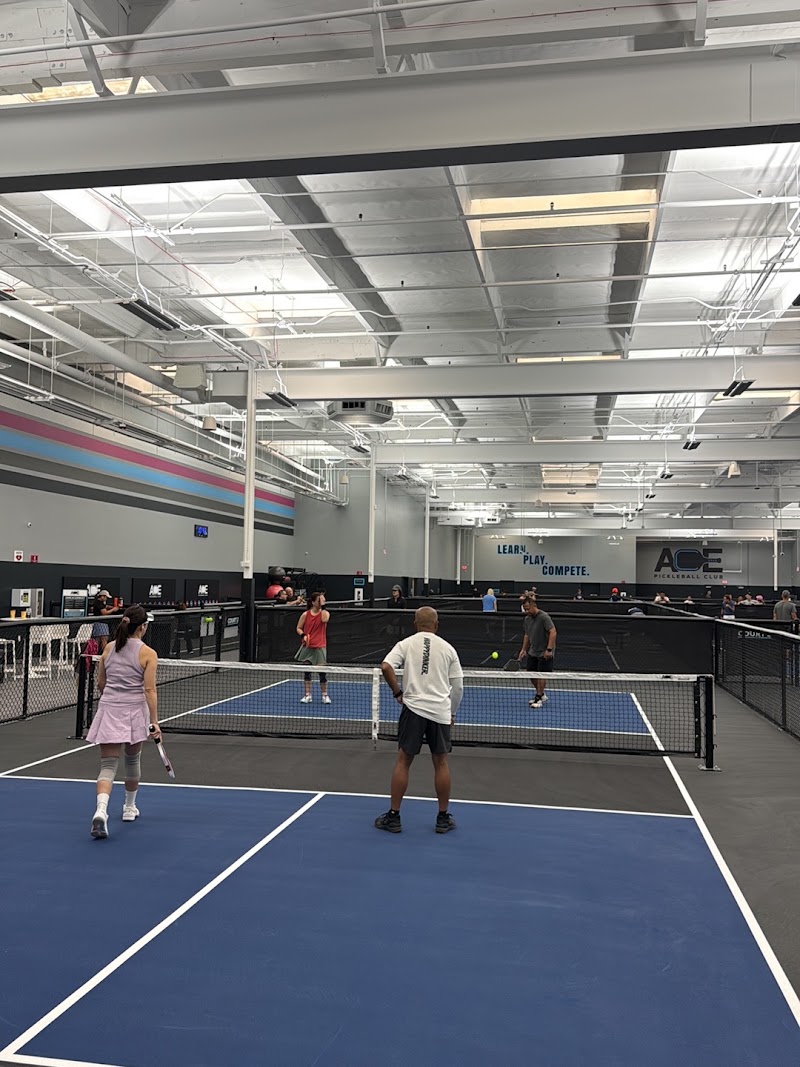 Ace Pickleball Club - Pickleball in Angelus Oaks, California