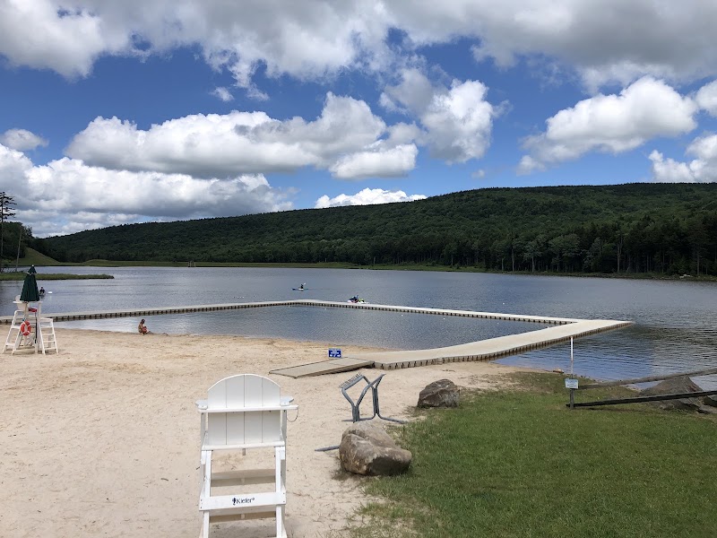 Shavers Lake Beach - Pickleball in Snowshoe, West Virginia