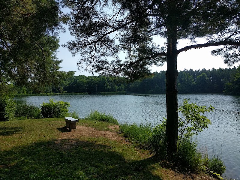 Boughton Park - Pickleball in Victor, New York