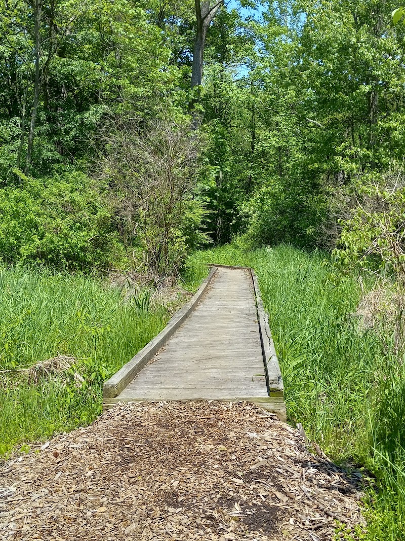 Rye Community Park