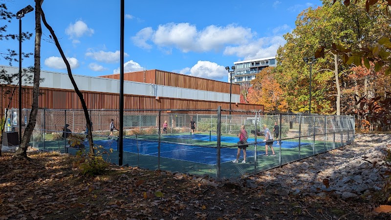 Terrain de pickleball