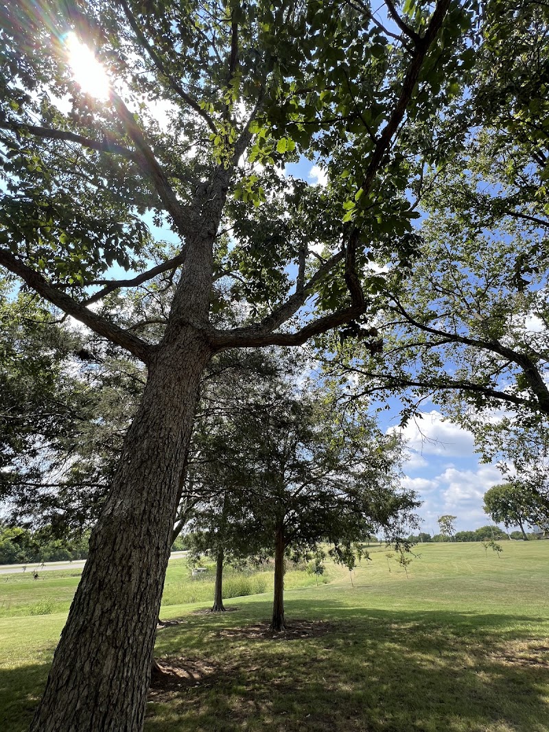 Madison Park