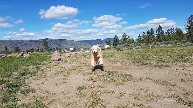 Rose Hill Park Pickleball/Tennis Courts - Pickleball in Kamloops, British Columbia