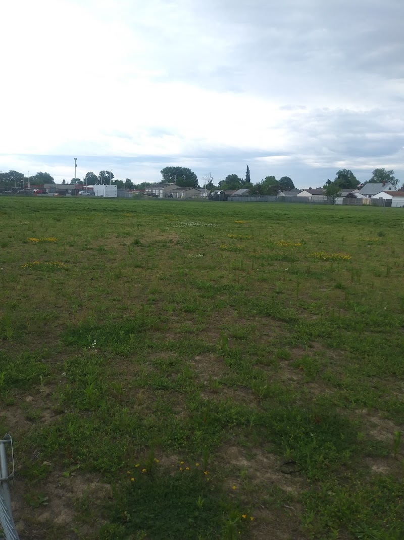 Wedo Park