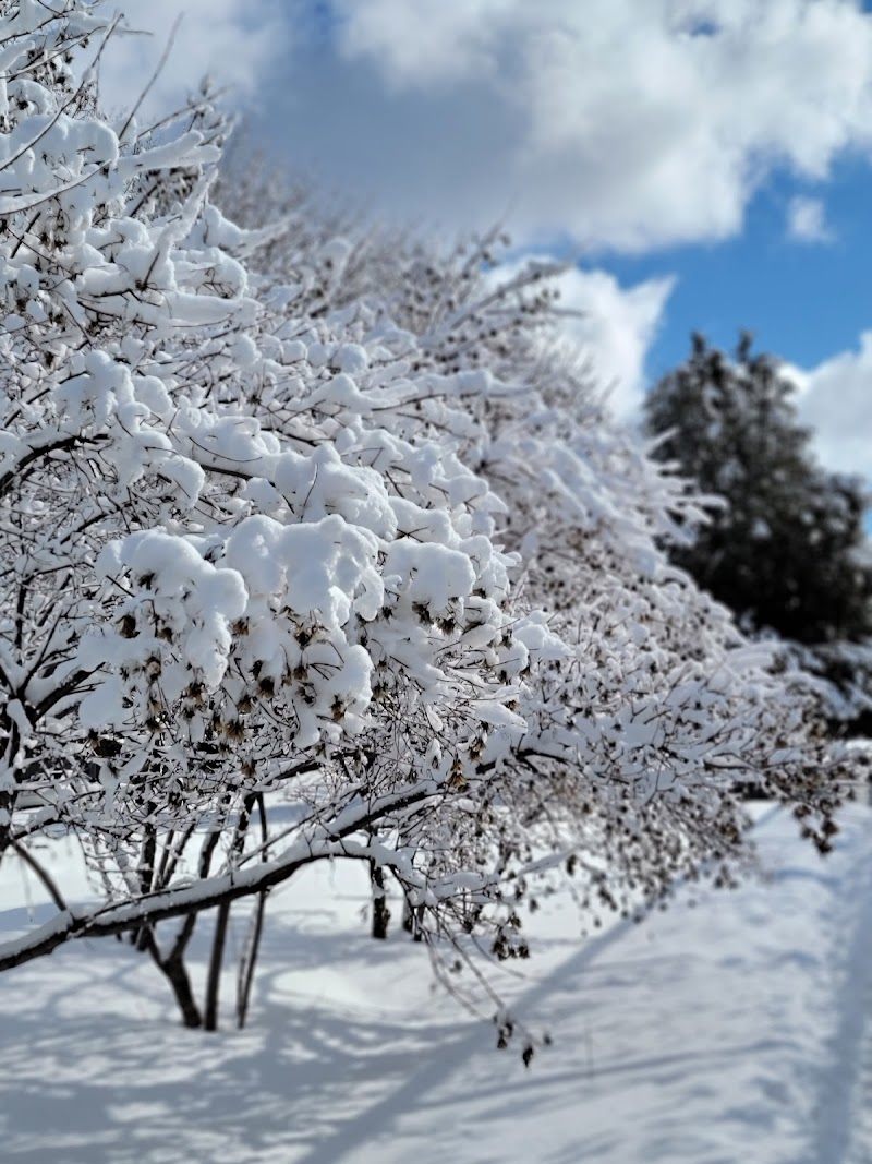 Beaubien Park