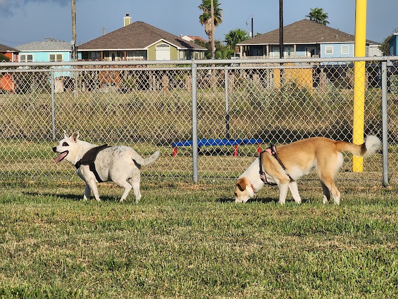Aransas Pass Dog Park - Pickleball in Aransas Pass, Texas