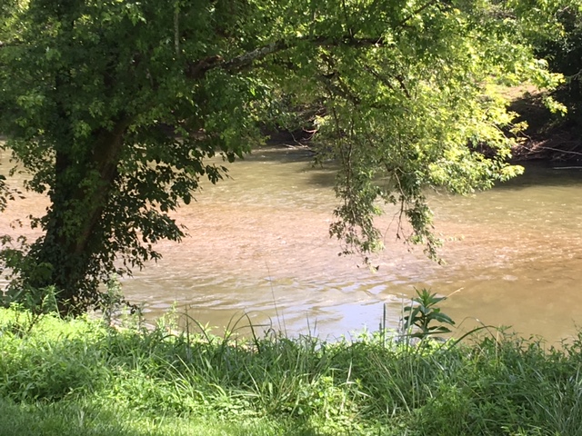 Branchland Park