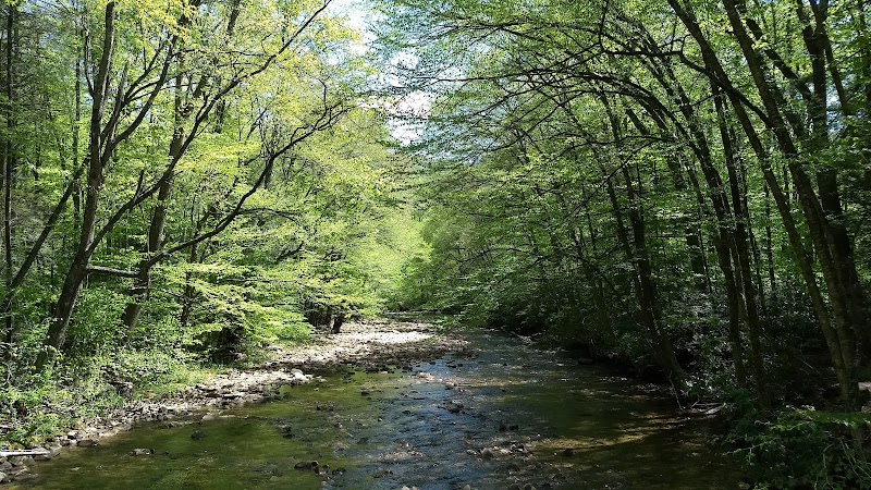 North Bend Picnic Area