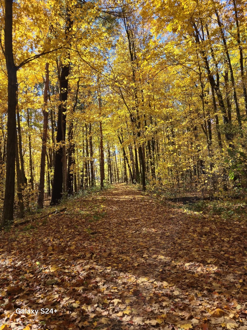 Stevens Park