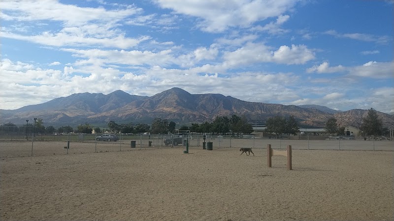 Fillmore Dog Park