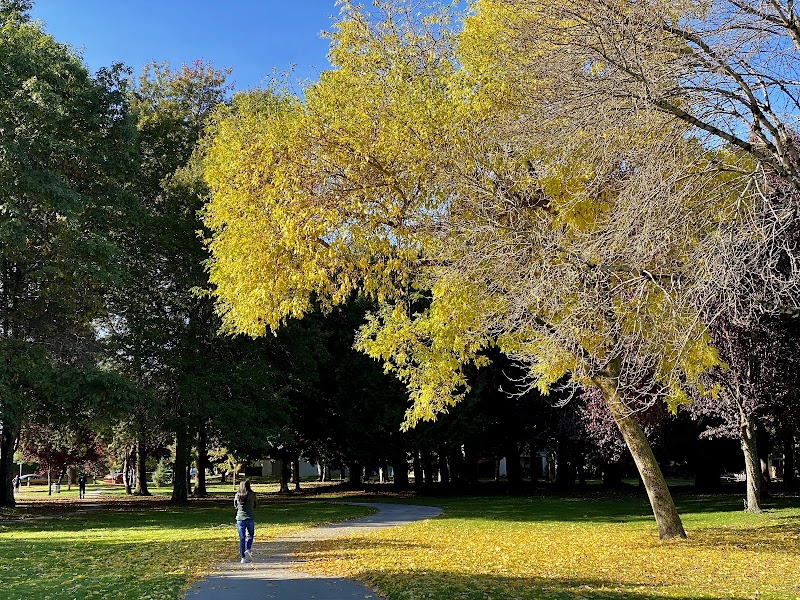 Blundell Neighbourhood Park