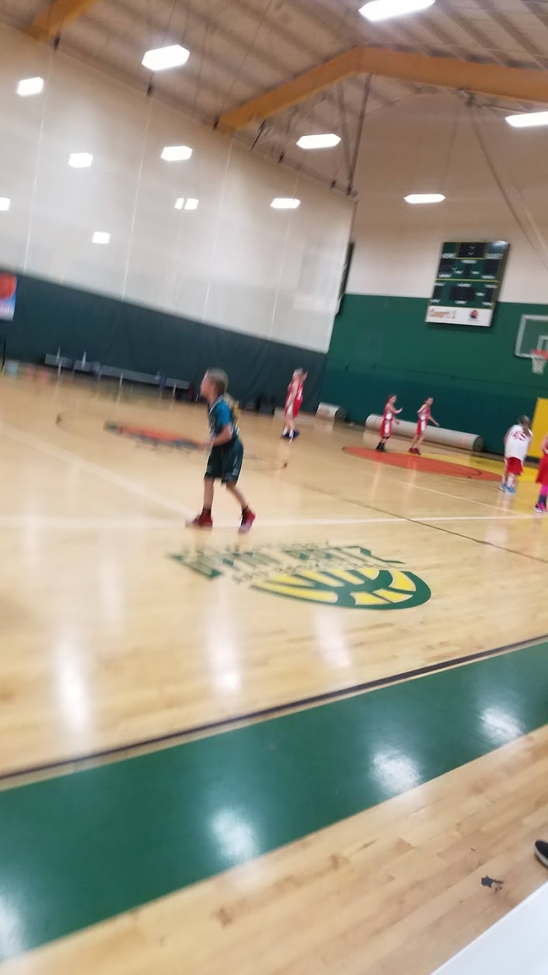 Down Town Sports