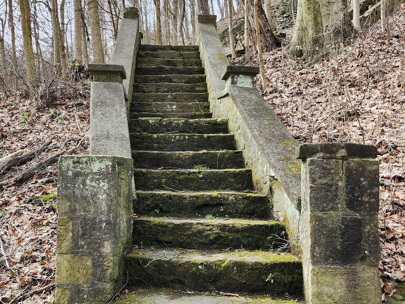 Beatty Park