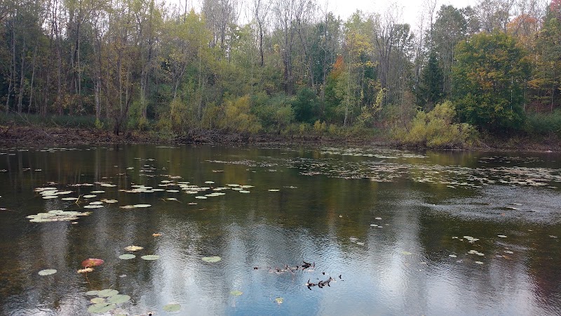 Jones Memorial Park
