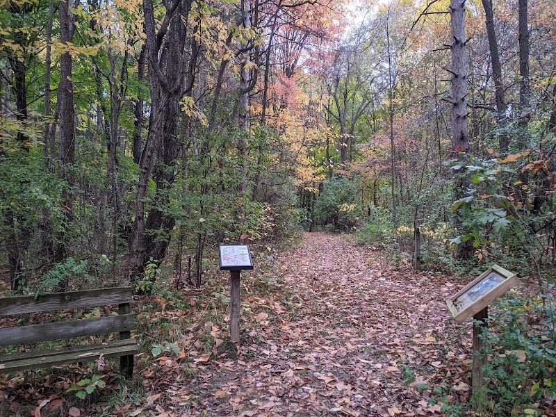 Oak ridge Park - Pickleball in Eaton Rapids, Michigan