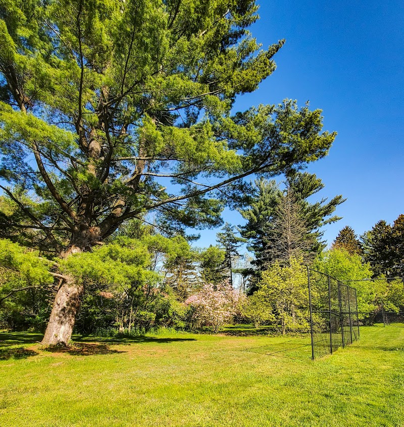 Ellison Park - Tennis Courts