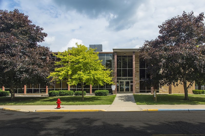 81st District Court