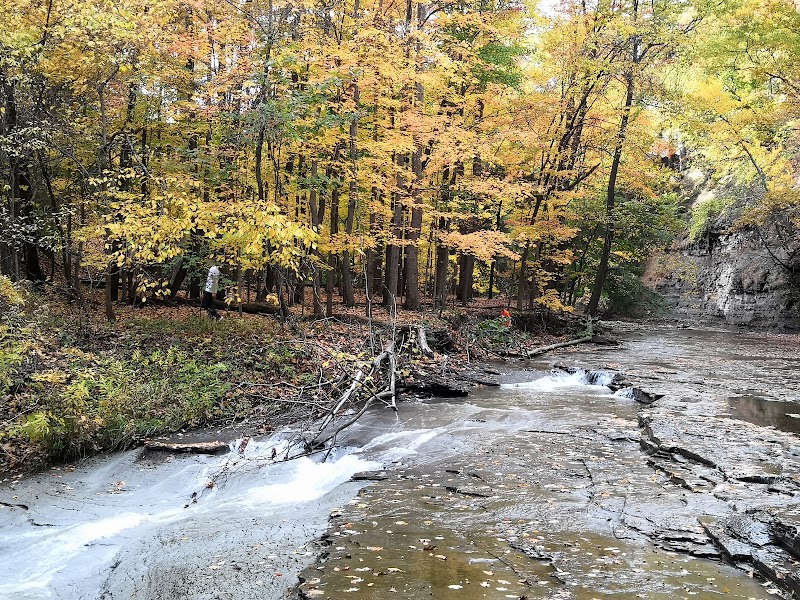 Tuxedo Park