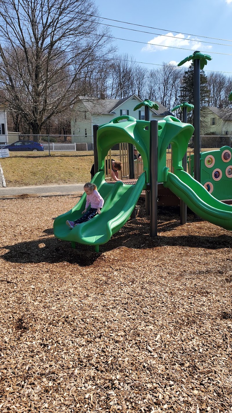 Lion's Park