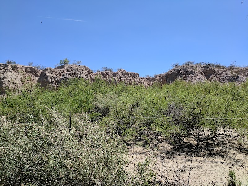 Mesilla Valley Bosque State Park