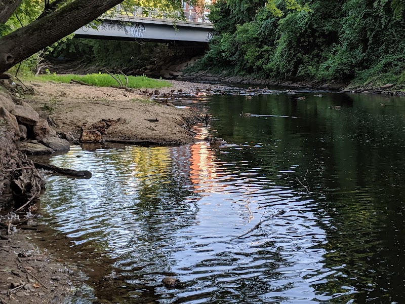 Bass Island Park
