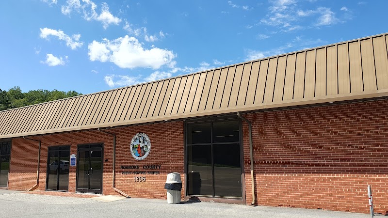Roanoke County Parks, Recreation and Tourism - Pickleball in Roanoke, Virginia