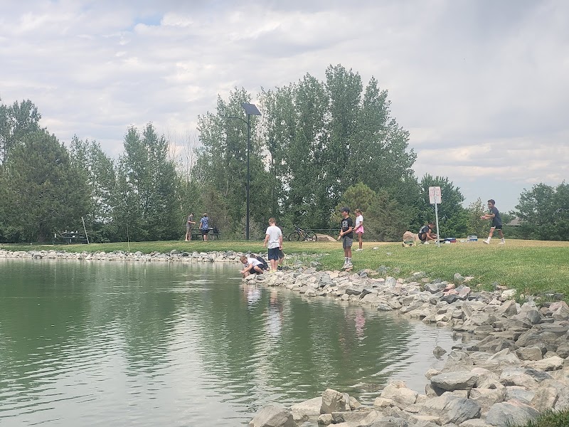 Blue Spruce Park - Pickleball in Severance, Colorado