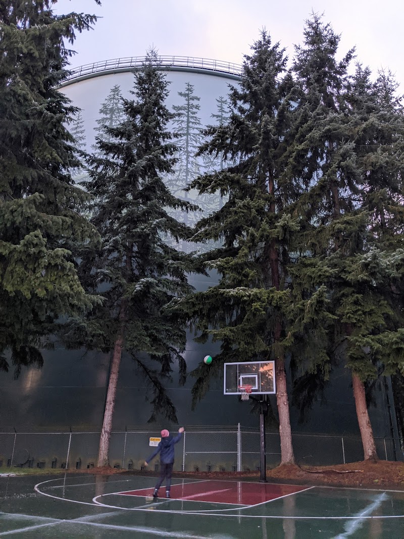 Mark Twain Park Basketball Court