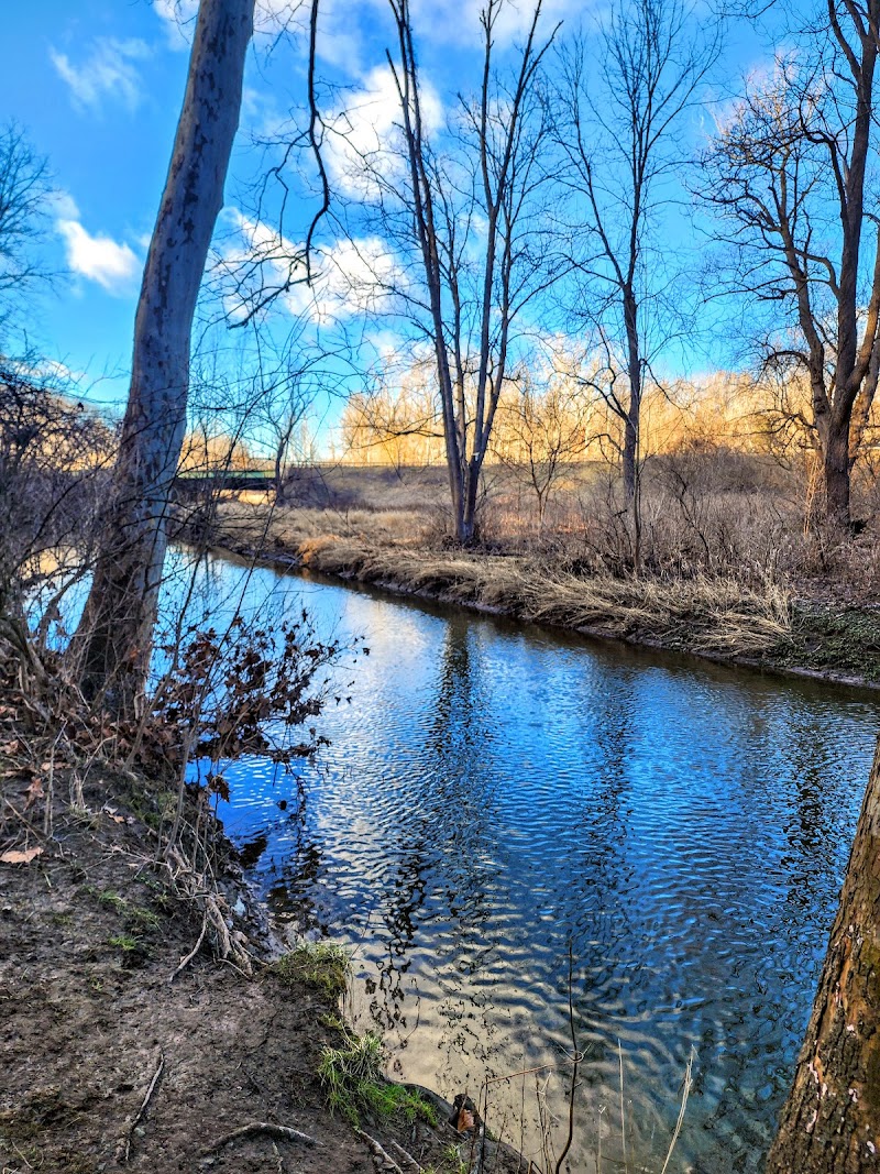 Ellison Park